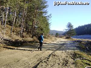 [P15] Spre Vf. Bogdan cu batul din dotare pentru a ne apara de caini :)  » foto by Testosu'
 - 
<span class="allrVoted glyphicon glyphicon-heart hidden" id="av703031"></span>
<a class="m-l-10 hidden" id="sv703031" onclick="voting_Foto_DelVot(,703031,19795)" role="button">șterge vot <span class="glyphicon glyphicon-remove"></span></a>
<a id="v9703031" class=" c-red"  onclick="voting_Foto_SetVot(703031)" role="button"><span class="glyphicon glyphicon-heart-empty"></span> <b>LIKE</b> = Votează poza</a> <img class="hidden"  id="f703031W9" src="/imagini/loader.gif" border="0" /><span class="AjErrMes hidden" id="e703031ErM"></span>