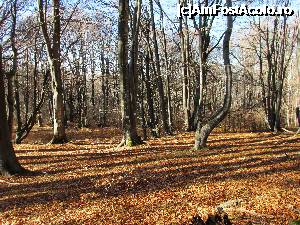 [P54] Spre Vf. Bogdan » foto by Testosu'
 - 
<span class="allrVoted glyphicon glyphicon-heart hidden" id="av703070"></span>
<a class="m-l-10 hidden" id="sv703070" onclick="voting_Foto_DelVot(,703070,19795)" role="button">șterge vot <span class="glyphicon glyphicon-remove"></span></a>
<a id="v9703070" class=" c-red"  onclick="voting_Foto_SetVot(703070)" role="button"><span class="glyphicon glyphicon-heart-empty"></span> <b>LIKE</b> = Votează poza</a> <img class="hidden"  id="f703070W9" src="/imagini/loader.gif" border="0" /><span class="AjErrMes hidden" id="e703070ErM"></span>