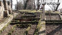 [P04] e prea devrema ca sa vad splendoarea gradinilor, mai trebuie ceva soare. » foto by roth
 - 
<span class="allrVoted glyphicon glyphicon-heart hidden" id="av254092"></span>
<a class="m-l-10 hidden" id="sv254092" onclick="voting_Foto_DelVot(,254092,19804)" role="button">șterge vot <span class="glyphicon glyphicon-remove"></span></a>
<a id="v9254092" class=" c-red"  onclick="voting_Foto_SetVot(254092)" role="button"><span class="glyphicon glyphicon-heart-empty"></span> <b>LIKE</b> = Votează poza</a> <img class="hidden"  id="f254092W9" src="/imagini/loader.gif" border="0" /><span class="AjErrMes hidden" id="e254092ErM"></span>