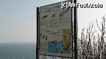 [P68]  -- <small>// FĂRĂ DESCRIERE</small> » foto by roth
 - 
<span class="allrVoted glyphicon glyphicon-heart hidden" id="av254167"></span>
<a class="m-l-10 hidden" id="sv254167" onclick="voting_Foto_DelVot(,254167,19804)" role="button">șterge vot <span class="glyphicon glyphicon-remove"></span></a>
<a id="v9254167" class=" c-red"  onclick="voting_Foto_SetVot(254167)" role="button"><span class="glyphicon glyphicon-heart-empty"></span> <b>LIKE</b> = Votează poza</a> <img class="hidden"  id="f254167W9" src="/imagini/loader.gif" border="0" /><span class="AjErrMes hidden" id="e254167ErM"></span>