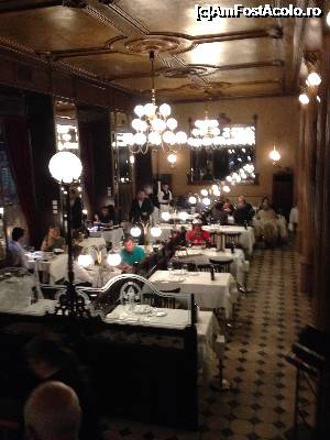 [P32] El Gran Café Restaurant - asa arata parterul localului » foto by mishu
 - 
<span class="allrVoted glyphicon glyphicon-heart hidden" id="av704226"></span>
<a class="m-l-10 hidden" id="sv704226" onclick="voting_Foto_DelVot(,704226,19814)" role="button">șterge vot <span class="glyphicon glyphicon-remove"></span></a>
<a id="v9704226" class=" c-red"  onclick="voting_Foto_SetVot(704226)" role="button"><span class="glyphicon glyphicon-heart-empty"></span> <b>LIKE</b> = Votează poza</a> <img class="hidden"  id="f704226W9" src="/imagini/loader.gif" border="0" /><span class="AjErrMes hidden" id="e704226ErM"></span>