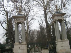 [P19] Jardin del Principe. Alta gradina minunata. Aranjuez este orasul gradinilor!  » foto by cristina47*
 - 
<span class="allrVoted glyphicon glyphicon-heart hidden" id="av706502"></span>
<a class="m-l-10 hidden" id="sv706502" onclick="voting_Foto_DelVot(,706502,19845)" role="button">șterge vot <span class="glyphicon glyphicon-remove"></span></a>
<a id="v9706502" class=" c-red"  onclick="voting_Foto_SetVot(706502)" role="button"><span class="glyphicon glyphicon-heart-empty"></span> <b>LIKE</b> = Votează poza</a> <img class="hidden"  id="f706502W9" src="/imagini/loader.gif" border="0" /><span class="AjErrMes hidden" id="e706502ErM"></span>