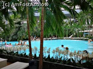 [P12] The Palm - piscina interioară (cu orhidee albe în martie 2019)  » foto by crismis
 - 
<span class="allrVoted glyphicon glyphicon-heart hidden" id="av1069361"></span>
<a class="m-l-10 hidden" id="sv1069361" onclick="voting_Foto_DelVot(,1069361,19847)" role="button">șterge vot <span class="glyphicon glyphicon-remove"></span></a>
<a id="v91069361" class=" c-red"  onclick="voting_Foto_SetVot(1069361)" role="button"><span class="glyphicon glyphicon-heart-empty"></span> <b>LIKE</b> = Votează poza</a> <img class="hidden"  id="f1069361W9" src="/imagini/loader.gif" border="0" /><span class="AjErrMes hidden" id="e1069361ErM"></span>