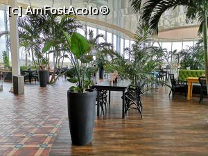 [P20] The Palm - restaurantul Humboldt » foto by crismis
 - 
<span class="allrVoted glyphicon glyphicon-heart hidden" id="av1069370"></span>
<a class="m-l-10 hidden" id="sv1069370" onclick="voting_Foto_DelVot(,1069370,19847)" role="button">șterge vot <span class="glyphicon glyphicon-remove"></span></a>
<a id="v91069370" class=" c-red"  onclick="voting_Foto_SetVot(1069370)" role="button"><span class="glyphicon glyphicon-heart-empty"></span> <b>LIKE</b> = Votează poza</a> <img class="hidden"  id="f1069370W9" src="/imagini/loader.gif" border="0" /><span class="AjErrMes hidden" id="e1069370ErM"></span>