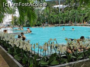 [P25] The Palm - piscina » foto by crismis
 - 
<span class="allrVoted glyphicon glyphicon-heart hidden" id="av1069376"></span>
<a class="m-l-10 hidden" id="sv1069376" onclick="voting_Foto_DelVot(,1069376,19847)" role="button">șterge vot <span class="glyphicon glyphicon-remove"></span></a>
<a id="v91069376" class=" c-red"  onclick="voting_Foto_SetVot(1069376)" role="button"><span class="glyphicon glyphicon-heart-empty"></span> <b>LIKE</b> = Votează poza</a> <img class="hidden"  id="f1069376W9" src="/imagini/loader.gif" border="0" /><span class="AjErrMes hidden" id="e1069376ErM"></span>