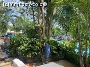 [P11] Therme - uscatoare de prosoape » foto by mishu
 - 
<span class="allrVoted glyphicon glyphicon-heart hidden" id="av1326527"></span>
<a class="m-l-10 hidden" id="sv1326527" onclick="voting_Foto_DelVot(,1326527,19847)" role="button">șterge vot <span class="glyphicon glyphicon-remove"></span></a>
<a id="v91326527" class=" c-red"  onclick="voting_Foto_SetVot(1326527)" role="button"><span class="glyphicon glyphicon-heart-empty"></span> <b>LIKE</b> = Votează poza</a> <img class="hidden"  id="f1326527W9" src="/imagini/loader.gif" border="0" /><span class="AjErrMes hidden" id="e1326527ErM"></span>