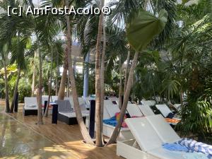 [P12] Therme - Relaxare » foto by mishu
 - 
<span class="allrVoted glyphicon glyphicon-heart hidden" id="av1326528"></span>
<a class="m-l-10 hidden" id="sv1326528" onclick="voting_Foto_DelVot(,1326528,19847)" role="button">șterge vot <span class="glyphicon glyphicon-remove"></span></a>
<a id="v91326528" class=" c-red"  onclick="voting_Foto_SetVot(1326528)" role="button"><span class="glyphicon glyphicon-heart-empty"></span> <b>LIKE</b> = Votează poza</a> <img class="hidden"  id="f1326528W9" src="/imagini/loader.gif" border="0" /><span class="AjErrMes hidden" id="e1326528ErM"></span>