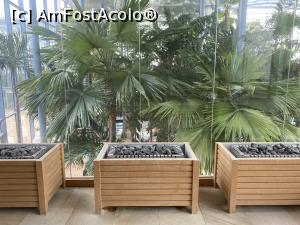 [P23] Therme - Sauna Amazon (zona Elysium) » foto by mishu
 - 
<span class="allrVoted glyphicon glyphicon-heart hidden" id="av1326539"></span>
<a class="m-l-10 hidden" id="sv1326539" onclick="voting_Foto_DelVot(,1326539,19847)" role="button">șterge vot <span class="glyphicon glyphicon-remove"></span></a>
<a id="v91326539" class=" c-red"  onclick="voting_Foto_SetVot(1326539)" role="button"><span class="glyphicon glyphicon-heart-empty"></span> <b>LIKE</b> = Votează poza</a> <img class="hidden"  id="f1326539W9" src="/imagini/loader.gif" border="0" /><span class="AjErrMes hidden" id="e1326539ErM"></span>