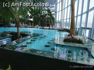 [P04] Pool Bar zona The Palm » foto by oanacris
 - 
<span class="allrVoted glyphicon glyphicon-heart hidden" id="av712717"></span>
<a class="m-l-10 hidden" id="sv712717" onclick="voting_Foto_DelVot(,712717,19847)" role="button">șterge vot <span class="glyphicon glyphicon-remove"></span></a>
<a id="v9712717" class=" c-red"  onclick="voting_Foto_SetVot(712717)" role="button"><span class="glyphicon glyphicon-heart-empty"></span> <b>LIKE</b> = Votează poza</a> <img class="hidden"  id="f712717W9" src="/imagini/loader.gif" border="0" /><span class="AjErrMes hidden" id="e712717ErM"></span>