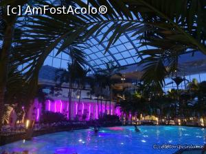 [P05] Zona The Palm la lasarea serii » foto by oanacris
 - 
<span class="allrVoted glyphicon glyphicon-heart hidden" id="av712718"></span>
<a class="m-l-10 hidden" id="sv712718" onclick="voting_Foto_DelVot(,712718,19847)" role="button">șterge vot <span class="glyphicon glyphicon-remove"></span></a>
<a id="v9712718" class=" c-red"  onclick="voting_Foto_SetVot(712718)" role="button"><span class="glyphicon glyphicon-heart-empty"></span> <b>LIKE</b> = Votează poza</a> <img class="hidden"  id="f712718W9" src="/imagini/loader.gif" border="0" /><span class="AjErrMes hidden" id="e712718ErM"></span>