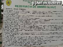 [P03] Rezervaţia de zimbrii Haţeg - panoul cu detaliile utile despre zimbrii!  » foto by creivean
 - 
<span class="allrVoted glyphicon glyphicon-heart hidden" id="av407247"></span>
<a class="m-l-10 hidden" id="sv407247" onclick="voting_Foto_DelVot(,407247,19857)" role="button">șterge vot <span class="glyphicon glyphicon-remove"></span></a>
<a id="v9407247" class=" c-red"  onclick="voting_Foto_SetVot(407247)" role="button"><span class="glyphicon glyphicon-heart-empty"></span> <b>LIKE</b> = Votează poza</a> <img class="hidden"  id="f407247W9" src="/imagini/loader.gif" border="0" /><span class="AjErrMes hidden" id="e407247ErM"></span>