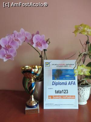 [P26] Distincțiile primite de subsemnatul pentru activitatea desfășurată în anul 2015 - mulțumesc celor care m-au citit și apreciat. » foto by tata123 🔱
 - 
<span class="allrVoted glyphicon glyphicon-heart hidden" id="av723611"></span>
<a class="m-l-10 hidden" id="sv723611" onclick="voting_Foto_DelVot(,723611,19864)" role="button">șterge vot <span class="glyphicon glyphicon-remove"></span></a>
<a id="v9723611" class=" c-red"  onclick="voting_Foto_SetVot(723611)" role="button"><span class="glyphicon glyphicon-heart-empty"></span> <b>LIKE</b> = Votează poza</a> <img class="hidden"  id="f723611W9" src="/imagini/loader.gif" border="0" /><span class="AjErrMes hidden" id="e723611ErM"></span>
