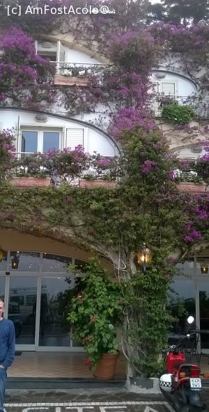 [P05] Intrarea in hotel » foto by elenamanea
 - 
<span class="allrVoted glyphicon glyphicon-heart hidden" id="av707548"></span>
<a class="m-l-10 hidden" id="sv707548" onclick="voting_Foto_DelVot(,707548,19865)" role="button">șterge vot <span class="glyphicon glyphicon-remove"></span></a>
<a id="v9707548" class=" c-red"  onclick="voting_Foto_SetVot(707548)" role="button"><span class="glyphicon glyphicon-heart-empty"></span> <b>LIKE</b> = Votează poza</a> <img class="hidden"  id="f707548W9" src="/imagini/loader.gif" border="0" /><span class="AjErrMes hidden" id="e707548ErM"></span>