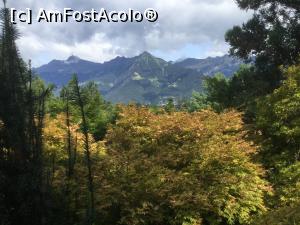 [P19] Castelul Trauttmansdorff - peisaje de vis » foto by mishu
 - 
<span class="allrVoted glyphicon glyphicon-heart hidden" id="av1169246"></span>
<a class="m-l-10 hidden" id="sv1169246" onclick="voting_Foto_DelVot(,1169246,19867)" role="button">șterge vot <span class="glyphicon glyphicon-remove"></span></a>
<a id="v91169246" class=" c-red"  onclick="voting_Foto_SetVot(1169246)" role="button"><span class="glyphicon glyphicon-heart-empty"></span> <b>LIKE</b> = Votează poza</a> <img class="hidden"  id="f1169246W9" src="/imagini/loader.gif" border="0" /><span class="AjErrMes hidden" id="e1169246ErM"></span>