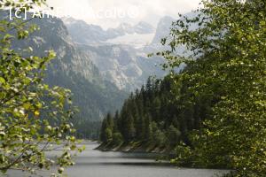 [P24] Privind mereu spre Dachstein » foto by Alina53
 - 
<span class="allrVoted glyphicon glyphicon-heart hidden" id="av707980"></span>
<a class="m-l-10 hidden" id="sv707980" onclick="voting_Foto_DelVot(,707980,19872)" role="button">șterge vot <span class="glyphicon glyphicon-remove"></span></a>
<a id="v9707980" class=" c-red"  onclick="voting_Foto_SetVot(707980)" role="button"><span class="glyphicon glyphicon-heart-empty"></span> <b>LIKE</b> = Votează poza</a> <img class="hidden"  id="f707980W9" src="/imagini/loader.gif" border="0" /><span class="AjErrMes hidden" id="e707980ErM"></span>