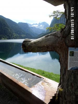 [P04] Și iată-mă din nou, la început de august 2015, pe malul lacului Gosau » foto by Alina53
 - 
<span class="allrVoted glyphicon glyphicon-heart hidden" id="av707955"></span>
<a class="m-l-10 hidden" id="sv707955" onclick="voting_Foto_DelVot(,707955,19872)" role="button">șterge vot <span class="glyphicon glyphicon-remove"></span></a>
<a id="v9707955" class=" c-red"  onclick="voting_Foto_SetVot(707955)" role="button"><span class="glyphicon glyphicon-heart-empty"></span> <b>LIKE</b> = Votează poza</a> <img class="hidden"  id="f707955W9" src="/imagini/loader.gif" border="0" /><span class="AjErrMes hidden" id="e707955ErM"></span>