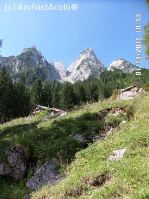 [P45]  -- <small>// FĂRĂ DESCRIERE</small> » foto by Alina53
 - 
<span class="allrVoted glyphicon glyphicon-heart hidden" id="av708001"></span>
<a class="m-l-10 hidden" id="sv708001" onclick="voting_Foto_DelVot(,708001,19872)" role="button">șterge vot <span class="glyphicon glyphicon-remove"></span></a>
<a id="v9708001" class=" c-red"  onclick="voting_Foto_SetVot(708001)" role="button"><span class="glyphicon glyphicon-heart-empty"></span> <b>LIKE</b> = Votează poza</a> <img class="hidden"  id="f708001W9" src="/imagini/loader.gif" border="0" /><span class="AjErrMes hidden" id="e708001ErM"></span>