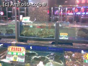 [P03] Acesta este restaurantul unde la parter iti alegeai "dihania", iar la etaj o primeai preparata » foto by vld79
 - 
<span class="allrVoted glyphicon glyphicon-heart hidden" id="av1322720"></span>
<a class="m-l-10 hidden" id="sv1322720" onclick="voting_Foto_DelVot(,1322720,19885)" role="button">șterge vot <span class="glyphicon glyphicon-remove"></span></a>
<a id="v91322720" class=" c-red"  onclick="voting_Foto_SetVot(1322720)" role="button"><span class="glyphicon glyphicon-heart-empty"></span> <b>LIKE</b> = Votează poza</a> <img class="hidden"  id="f1322720W9" src="/imagini/loader.gif" border="0" /><span class="AjErrMes hidden" id="e1322720ErM"></span>
