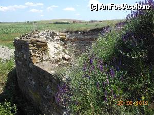 [P24] Halmyris - Dintre ruinele cetăţii, în plan îndepărtat, se vede Mănăstirea Halmyris cu biserica în construcţie.  » foto by iulianic
 - 
<span class="allrVoted glyphicon glyphicon-heart hidden" id="av424547"></span>
<a class="m-l-10 hidden" id="sv424547" onclick="voting_Foto_DelVot(,424547,19890)" role="button">șterge vot <span class="glyphicon glyphicon-remove"></span></a>
<a id="v9424547" class=" c-red"  onclick="voting_Foto_SetVot(424547)" role="button"><span class="glyphicon glyphicon-heart-empty"></span> <b>LIKE</b> = Votează poza</a> <img class="hidden"  id="f424547W9" src="/imagini/loader.gif" border="0" /><span class="AjErrMes hidden" id="e424547ErM"></span>