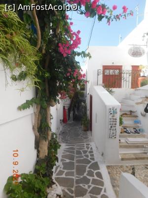 [P18] La pas prin Old Market, Chora » foto by irinad
 - 
<span class="allrVoted glyphicon glyphicon-heart hidden" id="av1265210"></span>
<a class="m-l-10 hidden" id="sv1265210" onclick="voting_Foto_DelVot(,1265210,19914)" role="button">șterge vot <span class="glyphicon glyphicon-remove"></span></a>
<a id="v91265210" class=" c-red"  onclick="voting_Foto_SetVot(1265210)" role="button"><span class="glyphicon glyphicon-heart-empty"></span> <b>LIKE</b> = Votează poza</a> <img class="hidden"  id="f1265210W9" src="/imagini/loader.gif" border="0" /><span class="AjErrMes hidden" id="e1265210ErM"></span>