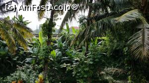 [P23] Champlung Sari Hotel Ubud -gradina » foto by robert
 - 
<span class="allrVoted glyphicon glyphicon-heart hidden" id="av712522"></span>
<a class="m-l-10 hidden" id="sv712522" onclick="voting_Foto_DelVot(,712522,19939)" role="button">șterge vot <span class="glyphicon glyphicon-remove"></span></a>
<a id="v9712522" class=" c-red"  onclick="voting_Foto_SetVot(712522)" role="button"><span class="glyphicon glyphicon-heart-empty"></span> <b>LIKE</b> = Votează poza</a> <img class="hidden"  id="f712522W9" src="/imagini/loader.gif" border="0" /><span class="AjErrMes hidden" id="e712522ErM"></span>
