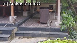 [P24] Champlung Sari Hotel Ubud » foto by robert
 - 
<span class="allrVoted glyphicon glyphicon-heart hidden" id="av712523"></span>
<a class="m-l-10 hidden" id="sv712523" onclick="voting_Foto_DelVot(,712523,19939)" role="button">șterge vot <span class="glyphicon glyphicon-remove"></span></a>
<a id="v9712523" class=" c-red"  onclick="voting_Foto_SetVot(712523)" role="button"><span class="glyphicon glyphicon-heart-empty"></span> <b>LIKE</b> = Votează poza</a> <img class="hidden"  id="f712523W9" src="/imagini/loader.gif" border="0" /><span class="AjErrMes hidden" id="e712523ErM"></span>
