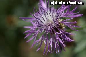 [P22]  -- <small>// FĂRĂ DESCRIERE</small> » foto by Utube
 - 
<span class="allrVoted glyphicon glyphicon-heart hidden" id="av374917"></span>
<a class="m-l-10 hidden" id="sv374917" onclick="voting_Foto_DelVot(,374917,19962)" role="button">șterge vot <span class="glyphicon glyphicon-remove"></span></a>
<a id="v9374917" class=" c-red"  onclick="voting_Foto_SetVot(374917)" role="button"><span class="glyphicon glyphicon-heart-empty"></span> <b>LIKE</b> = Votează poza</a> <img class="hidden"  id="f374917W9" src="/imagini/loader.gif" border="0" /><span class="AjErrMes hidden" id="e374917ErM"></span>