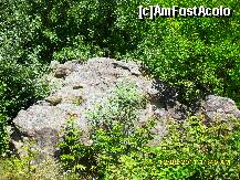 [P59]  -- <small>// FĂRĂ DESCRIERE</small> » foto by adryana
 - 
<span class="allrVoted glyphicon glyphicon-heart hidden" id="av242686"></span>
<a class="m-l-10 hidden" id="sv242686" onclick="voting_Foto_DelVot(,242686,19962)" role="button">șterge vot <span class="glyphicon glyphicon-remove"></span></a>
<a id="v9242686" class=" c-red"  onclick="voting_Foto_SetVot(242686)" role="button"><span class="glyphicon glyphicon-heart-empty"></span> <b>LIKE</b> = Votează poza</a> <img class="hidden"  id="f242686W9" src="/imagini/loader.gif" border="0" /><span class="AjErrMes hidden" id="e242686ErM"></span>