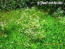 [P61]  -- <small>// FĂRĂ DESCRIERE</small> » foto by adryana
 - 
<span class="allrVoted glyphicon glyphicon-heart hidden" id="av242688"></span>
<a class="m-l-10 hidden" id="sv242688" onclick="voting_Foto_DelVot(,242688,19962)" role="button">șterge vot <span class="glyphicon glyphicon-remove"></span></a>
<a id="v9242688" class=" c-red"  onclick="voting_Foto_SetVot(242688)" role="button"><span class="glyphicon glyphicon-heart-empty"></span> <b>LIKE</b> = Votează poza</a> <img class="hidden"  id="f242688W9" src="/imagini/loader.gif" border="0" /><span class="AjErrMes hidden" id="e242688ErM"></span>
