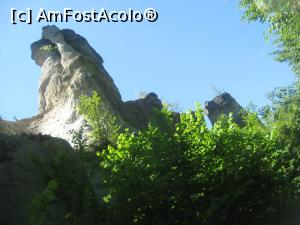 [P09] Cred ca stanca aceasta se-aseamana cu-o gospodina care se ia cu mainile de cap 'Aoleu, maica, iar s-au scumpit ceapa, vanata si morcovu! ' » foto by dorgo
 - 
<span class="allrVoted glyphicon glyphicon-heart hidden" id="av935467"></span>
<a class="m-l-10 hidden" id="sv935467" onclick="voting_Foto_DelVot(,935467,19962)" role="button">șterge vot <span class="glyphicon glyphicon-remove"></span></a>
<a id="v9935467" class=" c-red"  onclick="voting_Foto_SetVot(935467)" role="button"><span class="glyphicon glyphicon-heart-empty"></span> <b>LIKE</b> = Votează poza</a> <img class="hidden"  id="f935467W9" src="/imagini/loader.gif" border="0" /><span class="AjErrMes hidden" id="e935467ErM"></span>