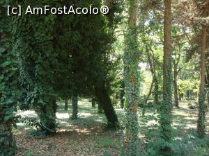 [P36] Mi-au plăcut mult copacii îmbrăcați în iederă din acest parc.  » foto by Floryn81
 - 
<span class="allrVoted glyphicon glyphicon-heart hidden" id="av790690"></span>
<a class="m-l-10 hidden" id="sv790690" onclick="voting_Foto_DelVot(,790690,19965)" role="button">șterge vot <span class="glyphicon glyphicon-remove"></span></a>
<a id="v9790690" class=" c-red"  onclick="voting_Foto_SetVot(790690)" role="button"><span class="glyphicon glyphicon-heart-empty"></span> <b>LIKE</b> = Votează poza</a> <img class="hidden"  id="f790690W9" src="/imagini/loader.gif" border="0" /><span class="AjErrMes hidden" id="e790690ErM"></span>