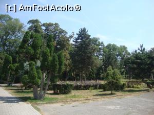 [P43] În parcul Central din Eforie Sud există mulți arbori și arbuști interesanți.  » foto by Floryn81
 - 
<span class="allrVoted glyphicon glyphicon-heart hidden" id="av790697"></span>
<a class="m-l-10 hidden" id="sv790697" onclick="voting_Foto_DelVot(,790697,19965)" role="button">șterge vot <span class="glyphicon glyphicon-remove"></span></a>
<a id="v9790697" class=" c-red"  onclick="voting_Foto_SetVot(790697)" role="button"><span class="glyphicon glyphicon-heart-empty"></span> <b>LIKE</b> = Votează poza</a> <img class="hidden"  id="f790697W9" src="/imagini/loader.gif" border="0" /><span class="AjErrMes hidden" id="e790697ErM"></span>
