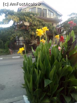 [P08] Eforie Sud – undeva, cândva… pe Strada Stefan cel Mare,  » foto by danaeldreny*
 - 
<span class="allrVoted glyphicon glyphicon-heart hidden" id="av895113"></span>
<a class="m-l-10 hidden" id="sv895113" onclick="voting_Foto_DelVot(,895113,19965)" role="button">șterge vot <span class="glyphicon glyphicon-remove"></span></a>
<a id="v9895113" class=" c-red"  onclick="voting_Foto_SetVot(895113)" role="button"><span class="glyphicon glyphicon-heart-empty"></span> <b>LIKE</b> = Votează poza</a> <img class="hidden"  id="f895113W9" src="/imagini/loader.gif" border="0" /><span class="AjErrMes hidden" id="e895113ErM"></span>