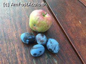 [P02] Cateva fructe culese dis de dimineata din curte in drum spre izvor » foto by Dan&Ema
 - 
<span class="allrVoted glyphicon glyphicon-heart hidden" id="av783497"></span>
<a class="m-l-10 hidden" id="sv783497" onclick="voting_Foto_DelVot(,783497,19969)" role="button">șterge vot <span class="glyphicon glyphicon-remove"></span></a>
<a id="v9783497" class=" c-red"  onclick="voting_Foto_SetVot(783497)" role="button"><span class="glyphicon glyphicon-heart-empty"></span> <b>LIKE</b> = Votează poza</a> <img class="hidden"  id="f783497W9" src="/imagini/loader.gif" border="0" /><span class="AjErrMes hidden" id="e783497ErM"></span>