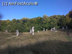 [P50] Tabăra de Sculptură Măgura, Buzău » foto by Mioritik
 - 
<span class="allrVoted glyphicon glyphicon-heart hidden" id="av1255107"></span>
<a class="m-l-10 hidden" id="sv1255107" onclick="voting_Foto_DelVot(,1255107,19973)" role="button">șterge vot <span class="glyphicon glyphicon-remove"></span></a>
<a id="v91255107" class=" c-red"  onclick="voting_Foto_SetVot(1255107)" role="button"><span class="glyphicon glyphicon-heart-empty"></span> <b>LIKE</b> = Votează poza</a> <img class="hidden"  id="f1255107W9" src="/imagini/loader.gif" border="0" /><span class="AjErrMes hidden" id="e1255107ErM"></span>