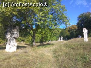 [P53] Tabăra de Sculptură Măgura, Buzău » foto by Mioritik
 - 
<span class="allrVoted glyphicon glyphicon-heart hidden" id="av1255110"></span>
<a class="m-l-10 hidden" id="sv1255110" onclick="voting_Foto_DelVot(,1255110,19973)" role="button">șterge vot <span class="glyphicon glyphicon-remove"></span></a>
<a id="v91255110" class=" c-red"  onclick="voting_Foto_SetVot(1255110)" role="button"><span class="glyphicon glyphicon-heart-empty"></span> <b>LIKE</b> = Votează poza</a> <img class="hidden"  id="f1255110W9" src="/imagini/loader.gif" border="0" /><span class="AjErrMes hidden" id="e1255110ErM"></span>