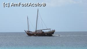 [P41] Dive local » foto by mihai-
 - 
<span class="allrVoted glyphicon glyphicon-heart hidden" id="av716711"></span>
<a class="m-l-10 hidden" id="sv716711" onclick="voting_Foto_DelVot(,716711,19979)" role="button">șterge vot <span class="glyphicon glyphicon-remove"></span></a>
<a id="v9716711" class=" c-red"  onclick="voting_Foto_SetVot(716711)" role="button"><span class="glyphicon glyphicon-heart-empty"></span> <b>LIKE</b> = Votează poza</a> <img class="hidden"  id="f716711W9" src="/imagini/loader.gif" border="0" /><span class="AjErrMes hidden" id="e716711ErM"></span>