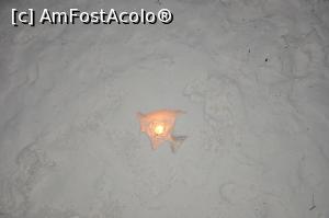 [P24] sand fish » foto by mihai-
 - 
<span class="allrVoted glyphicon glyphicon-heart hidden" id="av717355"></span>
<a class="m-l-10 hidden" id="sv717355" onclick="voting_Foto_DelVot(,717355,19984)" role="button">șterge vot <span class="glyphicon glyphicon-remove"></span></a>
<a id="v9717355" class=" c-red"  onclick="voting_Foto_SetVot(717355)" role="button"><span class="glyphicon glyphicon-heart-empty"></span> <b>LIKE</b> = Votează poza</a> <img class="hidden"  id="f717355W9" src="/imagini/loader.gif" border="0" /><span class="AjErrMes hidden" id="e717355ErM"></span>