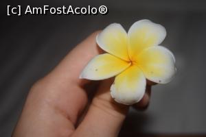 [P14] superba frangipani » foto by robert
 - 
<span class="allrVoted glyphicon glyphicon-heart hidden" id="av718191"></span>
<a class="m-l-10 hidden" id="sv718191" onclick="voting_Foto_DelVot(,718191,20000)" role="button">șterge vot <span class="glyphicon glyphicon-remove"></span></a>
<a id="v9718191" class=" c-red"  onclick="voting_Foto_SetVot(718191)" role="button"><span class="glyphicon glyphicon-heart-empty"></span> <b>LIKE</b> = Votează poza</a> <img class="hidden"  id="f718191W9" src="/imagini/loader.gif" border="0" /><span class="AjErrMes hidden" id="e718191ErM"></span>