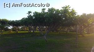 [P04] Prin parcul Peninsula Island » foto by r-Uca
 - 
<span class="allrVoted glyphicon glyphicon-heart hidden" id="av1050968"></span>
<a class="m-l-10 hidden" id="sv1050968" onclick="voting_Foto_DelVot(,1050968,20000)" role="button">șterge vot <span class="glyphicon glyphicon-remove"></span></a>
<a id="v91050968" class=" c-red"  onclick="voting_Foto_SetVot(1050968)" role="button"><span class="glyphicon glyphicon-heart-empty"></span> <b>LIKE</b> = Votează poza</a> <img class="hidden"  id="f1050968W9" src="/imagini/loader.gif" border="0" /><span class="AjErrMes hidden" id="e1050968ErM"></span>