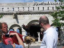 [P09] Cavalerul 'din review' cu al sau soim ! O imagine exotica si foarte atractiva turistic..... » foto by mirelutza
 - 
<span class="allrVoted glyphicon glyphicon-heart hidden" id="av149011"></span>
<a class="m-l-10 hidden" id="sv149011" onclick="voting_Foto_DelVot(,149011,20003)" role="button">șterge vot <span class="glyphicon glyphicon-remove"></span></a>
<a id="v9149011" class=" c-red"  onclick="voting_Foto_SetVot(149011)" role="button"><span class="glyphicon glyphicon-heart-empty"></span> <b>LIKE</b> = Votează poza</a> <img class="hidden"  id="f149011W9" src="/imagini/loader.gif" border="0" /><span class="AjErrMes hidden" id="e149011ErM"></span>