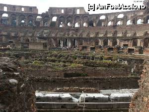[P01] Colosseumul din interior » foto by asyral
 - 
<span class="allrVoted glyphicon glyphicon-heart hidden" id="av427484"></span>
<a class="m-l-10 hidden" id="sv427484" onclick="voting_Foto_DelVot(,427484,20020)" role="button">șterge vot <span class="glyphicon glyphicon-remove"></span></a>
<a id="v9427484" class=" c-red"  onclick="voting_Foto_SetVot(427484)" role="button"><span class="glyphicon glyphicon-heart-empty"></span> <b>LIKE</b> = Votează poza</a> <img class="hidden"  id="f427484W9" src="/imagini/loader.gif" border="0" /><span class="AjErrMes hidden" id="e427484ErM"></span>