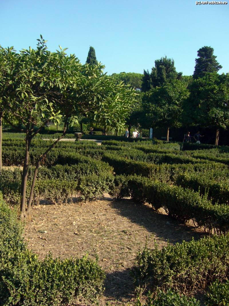 [P22] Incursiune în Roma (III) Colina Palatină, Gradinile Farnese » foto by magdalena
 - 
<span class="allrVoted glyphicon glyphicon-heart hidden" id="av281493"></span>
<a class="m-l-10 hidden" id="sv281493" onclick="voting_Foto_DelVot(,281493,20020)" role="button">șterge vot <span class="glyphicon glyphicon-remove"></span></a>
<a id="v9281493" class=" c-red"  onclick="voting_Foto_SetVot(281493)" role="button"><span class="glyphicon glyphicon-heart-empty"></span> <b>LIKE</b> = Votează poza</a> <img class="hidden"  id="f281493W9" src="/imagini/loader.gif" border="0" /><span class="AjErrMes hidden" id="e281493ErM"></span>