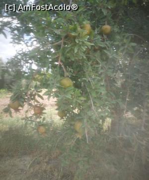 [P11] O scurta oprire înainte de Pamukkale » foto by M'Liviu
 - 
<span class="allrVoted glyphicon glyphicon-heart hidden" id="av1238659"></span>
<a class="m-l-10 hidden" id="sv1238659" onclick="voting_Foto_DelVot(,1238659,20028)" role="button">șterge vot <span class="glyphicon glyphicon-remove"></span></a>
<a id="v91238659" class=" c-red"  onclick="voting_Foto_SetVot(1238659)" role="button"><span class="glyphicon glyphicon-heart-empty"></span> <b>LIKE</b> = Votează poza</a> <img class="hidden"  id="f1238659W9" src="/imagini/loader.gif" border="0" /><span class="AjErrMes hidden" id="e1238659ErM"></span>