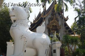 [P12] in Chiang Mai poti vizita peste 200 de temple » foto by Pami*
 - 
<span class="allrVoted glyphicon glyphicon-heart hidden" id="av719702"></span>
<a class="m-l-10 hidden" id="sv719702" onclick="voting_Foto_DelVot(,719702,20034)" role="button">șterge vot <span class="glyphicon glyphicon-remove"></span></a>
<a id="v9719702" class=" c-red"  onclick="voting_Foto_SetVot(719702)" role="button"><span class="glyphicon glyphicon-heart-empty"></span> <b>LIKE</b> = Votează poza</a> <img class="hidden"  id="f719702W9" src="/imagini/loader.gif" border="0" /><span class="AjErrMes hidden" id="e719702ErM"></span>