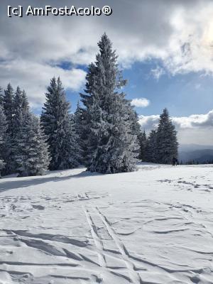 [P16] Peisaj de iarna » foto by nightwish
 - 
<span class="allrVoted glyphicon glyphicon-heart hidden" id="av1276690"></span>
<a class="m-l-10 hidden" id="sv1276690" onclick="voting_Foto_DelVot(,1276690,20045)" role="button">șterge vot <span class="glyphicon glyphicon-remove"></span></a>
<a id="v91276690" class=" c-red"  onclick="voting_Foto_SetVot(1276690)" role="button"><span class="glyphicon glyphicon-heart-empty"></span> <b>LIKE</b> = Votează poza</a> <img class="hidden"  id="f1276690W9" src="/imagini/loader.gif" border="0" /><span class="AjErrMes hidden" id="e1276690ErM"></span>