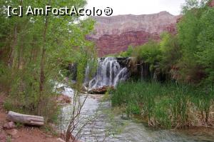 [P14] 50 Feet Fall » foto by Millana
 - 
<span class="allrVoted glyphicon glyphicon-heart hidden" id="av1069871"></span>
<a class="m-l-10 hidden" id="sv1069871" onclick="voting_Foto_DelVot(,1069871,20048)" role="button">șterge vot <span class="glyphicon glyphicon-remove"></span></a>
<a id="v91069871" class=" c-red"  onclick="voting_Foto_SetVot(1069871)" role="button"><span class="glyphicon glyphicon-heart-empty"></span> <b>LIKE</b> = Votează poza</a> <img class="hidden"  id="f1069871W9" src="/imagini/loader.gif" border="0" /><span class="AjErrMes hidden" id="e1069871ErM"></span>