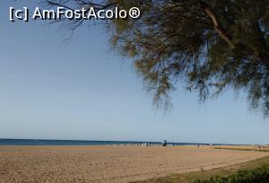 [P63] De sub pini, Platja De l'Astillero. » foto by maryka
 - 
<span class="allrVoted glyphicon glyphicon-heart hidden" id="av1195323"></span>
<a class="m-l-10 hidden" id="sv1195323" onclick="voting_Foto_DelVot(,1195323,20055)" role="button">șterge vot <span class="glyphicon glyphicon-remove"></span></a>
<a id="v91195323" class=" c-red"  onclick="voting_Foto_SetVot(1195323)" role="button"><span class="glyphicon glyphicon-heart-empty"></span> <b>LIKE</b> = Votează poza</a> <img class="hidden"  id="f1195323W9" src="/imagini/loader.gif" border="0" /><span class="AjErrMes hidden" id="e1195323ErM"></span>
