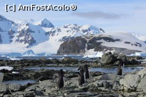[P16] Alt peisaj din Antarctica » foto by Amariei Bogdan
 - 
<span class="allrVoted glyphicon glyphicon-heart hidden" id="av722533"></span>
<a class="m-l-10 hidden" id="sv722533" onclick="voting_Foto_DelVot(,722533,20071)" role="button">șterge vot <span class="glyphicon glyphicon-remove"></span></a>
<a id="v9722533" class=" c-red"  onclick="voting_Foto_SetVot(722533)" role="button"><span class="glyphicon glyphicon-heart-empty"></span> <b>LIKE</b> = Votează poza</a> <img class="hidden"  id="f722533W9" src="/imagini/loader.gif" border="0" /><span class="AjErrMes hidden" id="e722533ErM"></span>