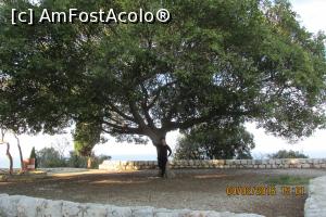 [P21] Copacul secular din gradina exterioara a manastirii.  » foto by adri-nico
 - 
<span class="allrVoted glyphicon glyphicon-heart hidden" id="av724995"></span>
<a class="m-l-10 hidden" id="sv724995" onclick="voting_Foto_DelVot(,724995,20106)" role="button">șterge vot <span class="glyphicon glyphicon-remove"></span></a>
<a id="v9724995" class=" c-red"  onclick="voting_Foto_SetVot(724995)" role="button"><span class="glyphicon glyphicon-heart-empty"></span> <b>LIKE</b> = Votează poza</a> <img class="hidden"  id="f724995W9" src="/imagini/loader.gif" border="0" /><span class="AjErrMes hidden" id="e724995ErM"></span>